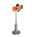 Clownfish