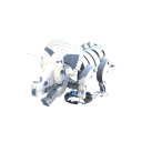 Fossil (Triceratops)