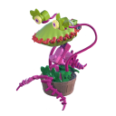 Frank The Plant