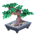 Nanda Parbat Bonsai Tree