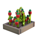 Tomato Planter